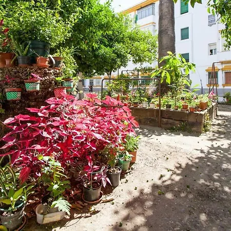 Apartamento A Los Pies Del Alcazar Sevilla Buitenkant foto